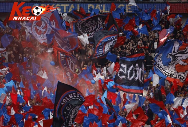 Crystal Palace cũng ngay lập tức đệ đơn khiếu nại lên CAS
